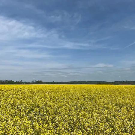 Appartamento Apartma Rebolj