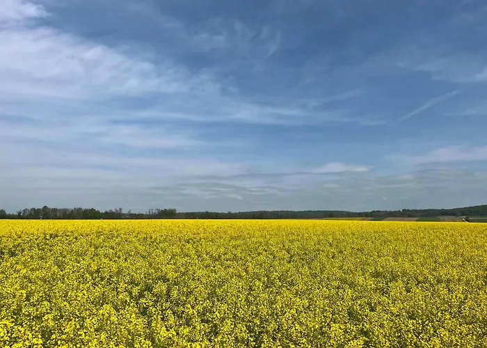 Daire Apartma Rebolj